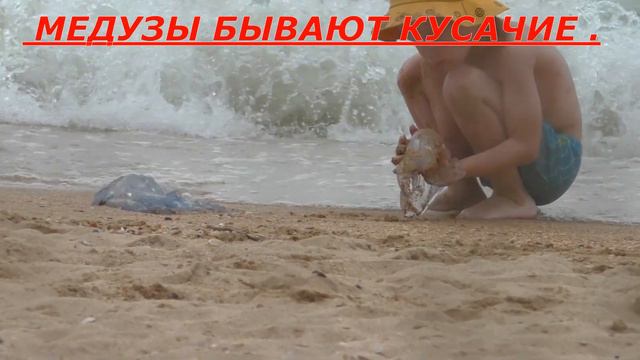 Домик на берегу Азовского моря . смотреть онлайн