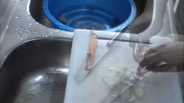 How To Cook Stir Fried Ginger & Onion Spring With Pork By  Kenex Kum