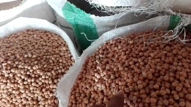 CHICKPEAS 14mm Wholesale Price Review/chana #cholle ,New Price CHICKPEAS,best Quality