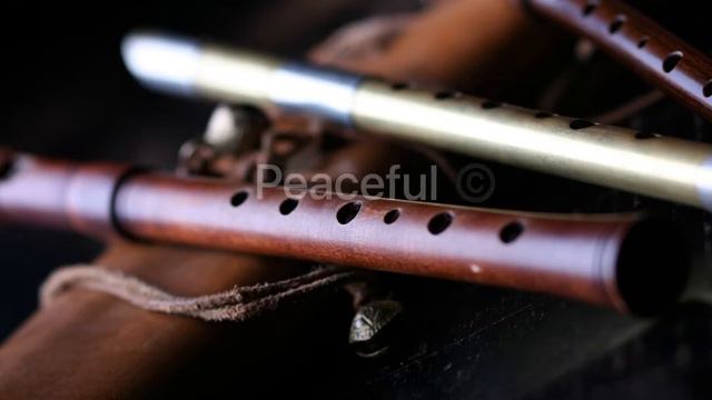 10 min Meditation | Relaxation Flute Music | Isha music | Indian music 🎶 смотреть онлайн