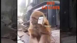 Я Сабинина мама ??