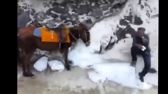 ШОК!Сергей Симонов пьян!!Вся правда! смотреть онлайн