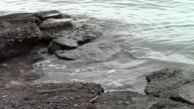 Первое катание на самокате первые шаги на роликах смотреть онлайн