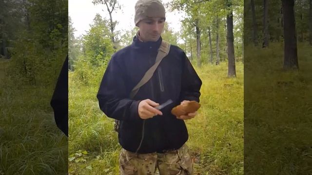 Как определить съедобный гриб смотреть онлайн