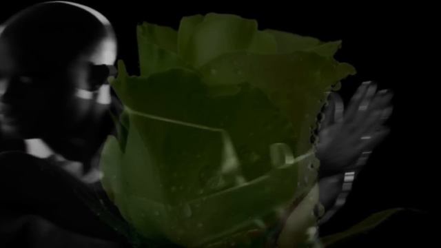 Mina-Mi Mandi Rose