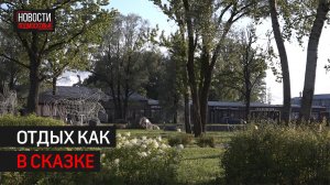 Бассейн площадью 200 «квадратов» откроется в парке «Лукоморье» в Сходне // 360 ХИМКИ