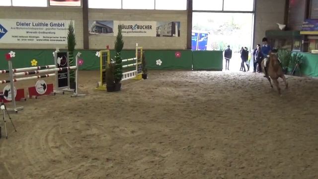 Horse Gym's Deja Vue - 03.03.2016 Heilbronn - Youngster SPR M* смотреть онлайн