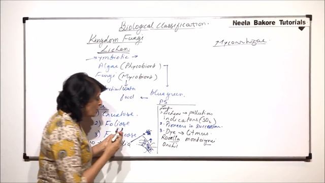 Biological Classification | NEET | Fungi - Lichens and Mycorrhizae | Neela Bakore Tutorials смотреть онлайн