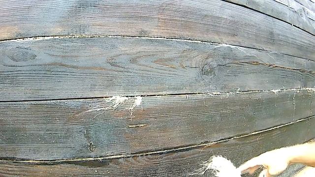 Конопатка бани из бруса своими руками. смотреть онлайн