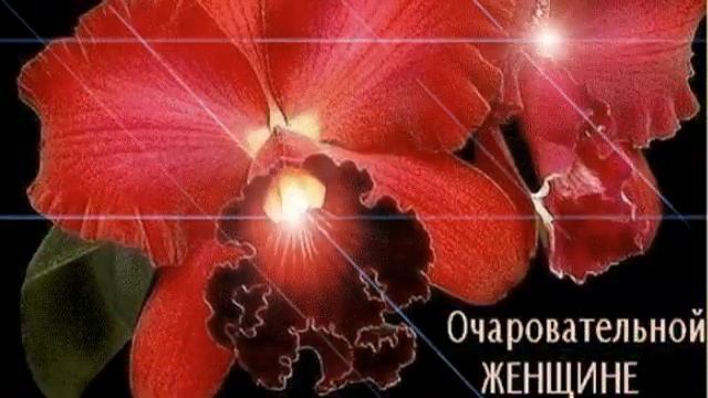 ТАНЯ,ТАНЕЧКА С ДНЁМ РОЖДЕНИЕМ!!! смотреть онлайн