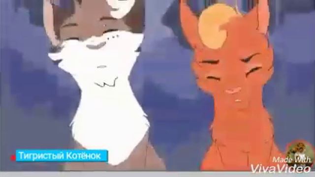 Коты-Воители Белка и Ежевика