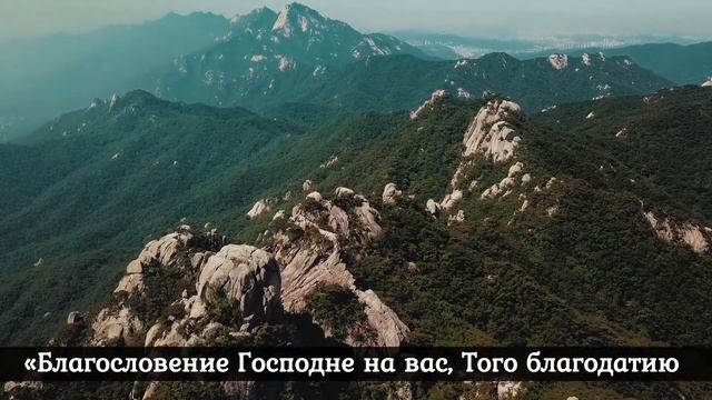 Зачем брать благословение у священника. Обязательно ли целовать руку смотреть онлайн