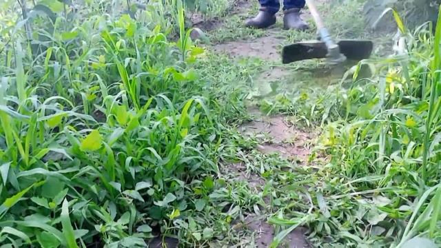 Обзор! Триммер для травы Макита -(Бензокоса, Мотокоса)! смотреть онлайн