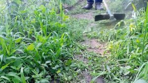 Обзор! Триммер для травы Макита -(Бензокоса, Мотокоса)!