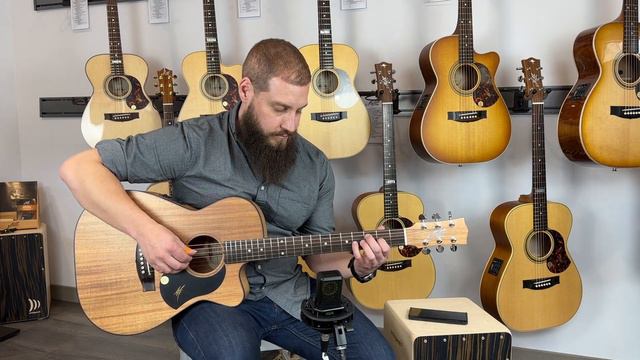 MATON GUITARS ALL-BLACKWOOD EBW-808C CUTAWAY - 16486 смотреть онлайн