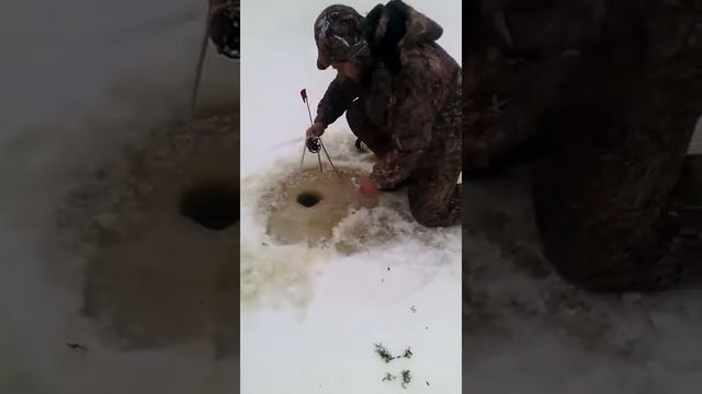 Никольское озеро смотреть онлайн