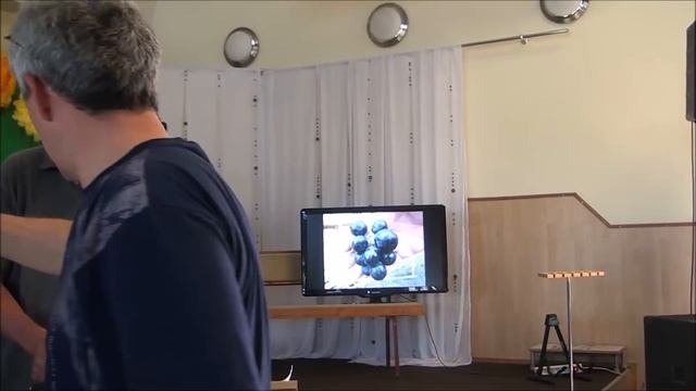 Виноград Калугина В М смотреть онлайн