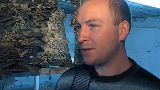 Крестьянские дела Демченко (12+) 14 05 2013 смотреть онлайн