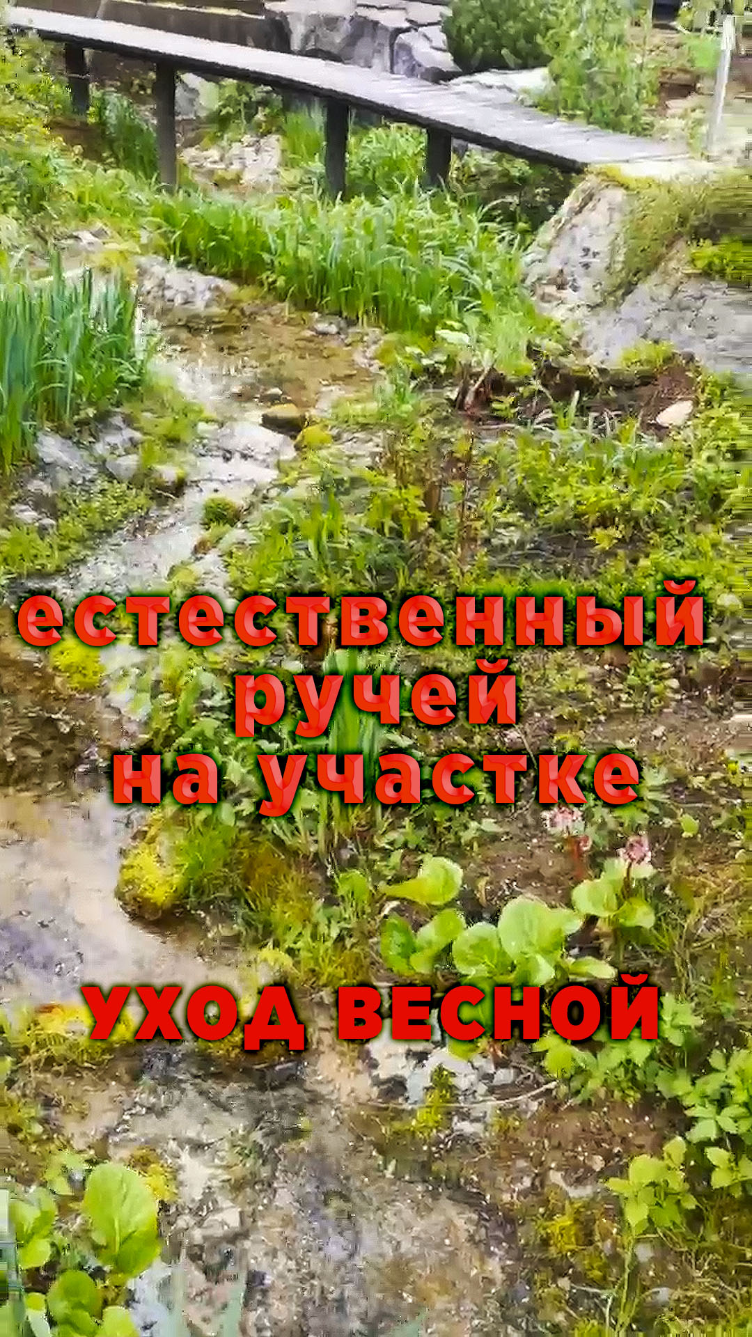 Естественный ручей на участке. Уход за ним. смотреть онлайн