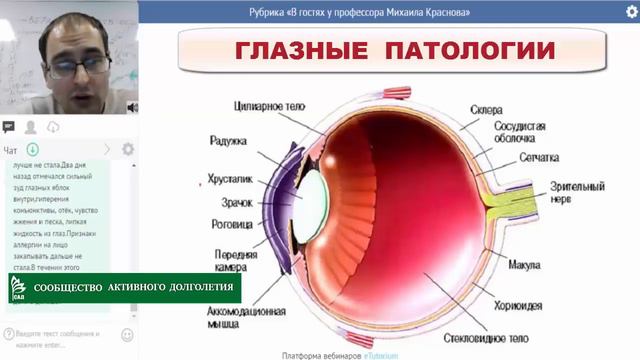 «ACLON» Глазные патологии и флуревиты / Краснов М. смотреть онлайн