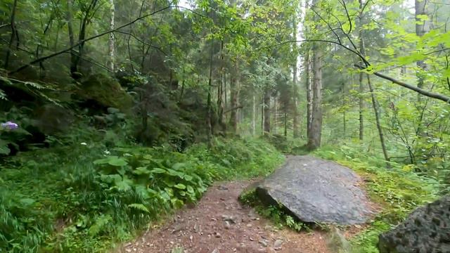 Вид и звук природы для релакса. смотреть онлайн