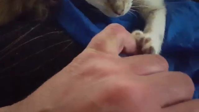 Ищем черную кошку в темной комнате