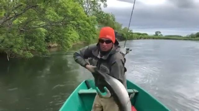 РЫБАЛКА НА КАМЧАТКЕ / ЧАВЫЧА САМКА смотреть онлайн