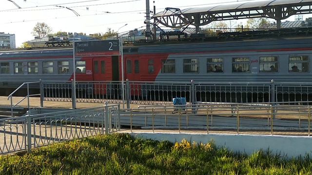 ЭТ2М-8009 и ЭД4МК-0118 на станции "Лигово" смотреть онлайн