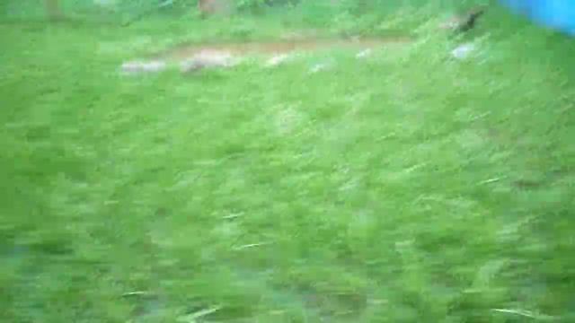 После грозы на даче.MOV смотреть онлайн