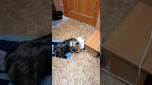 Самое тёплое слово, ВЕНТИЛЯТОР!! смотреть онлайн