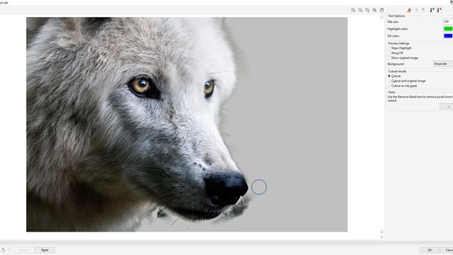 How to remove background in CorelDRAW/PhotoPaint 2022 using Cutout Lab смотреть онлайн