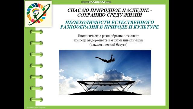 Мастер-класс"Приближаем Экомир", МАОУ СОШ №44 г. Томск смотреть онлайн