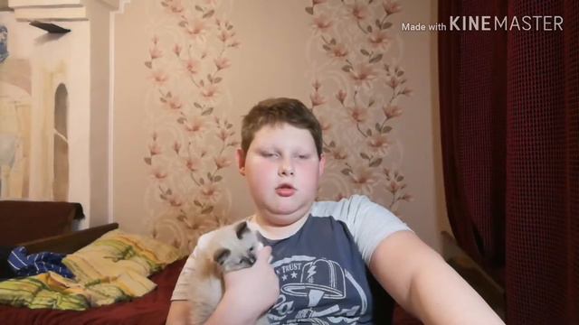 Влог:моя Кошка) смотреть онлайн