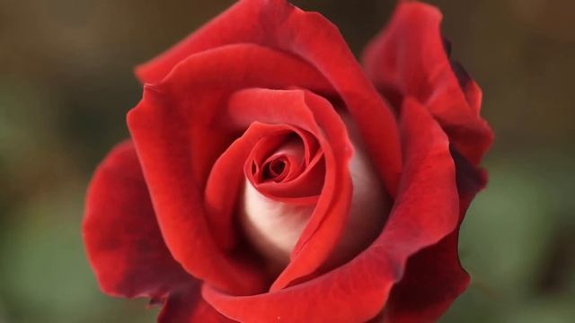 Эту музыку можно слушать вечно! Божественная, Непревзойденная музыка, способная тронуть Сердце! #2 смотреть онлайн