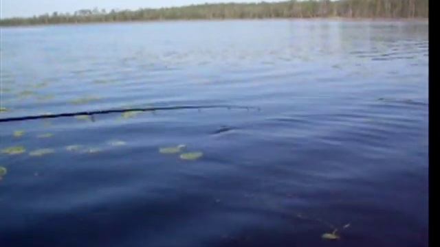 Лучшая летняя рыбалка в сибири смотреть онлайн