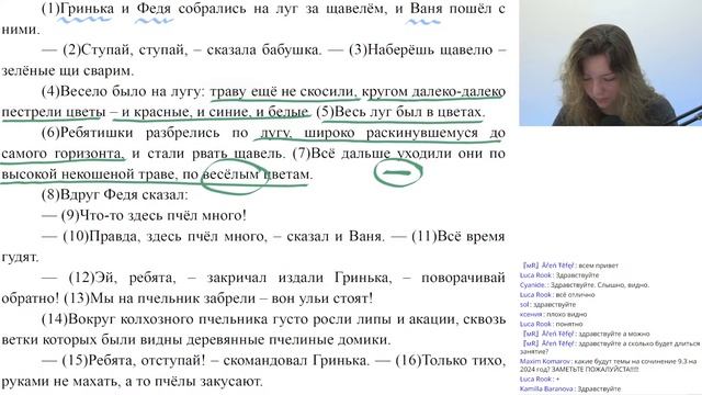 Как работать с текстом для сочинения ОГЭ, чтобы получить “5”? смотреть онлайн