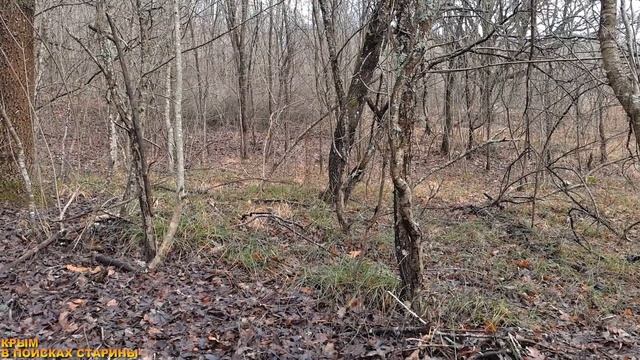 ПРЕДНОВОГОДНИЙ КОП В КРЫМУ смотреть онлайн