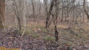 ПРЕДНОВОГОДНИЙ КОП В КРЫМУ