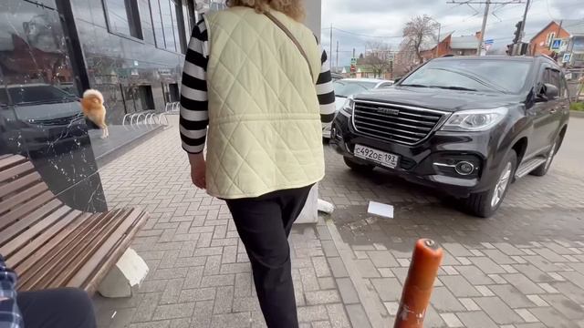 потерявшаяся собака смотреть онлайн