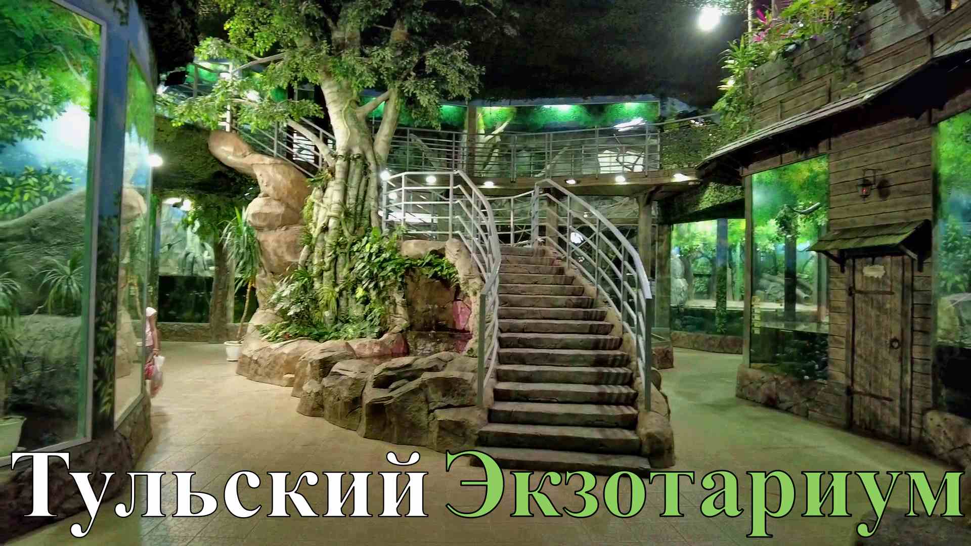 Тульский Экзотариум в Центральном Парке им.Белоусова. Tula Exotarium. Июль 2022 #тула смотреть онлайн