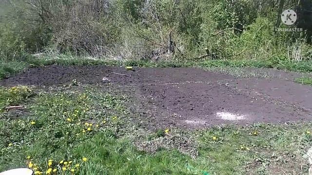 Пахаю, Сажаю ??♂️ смотреть онлайн