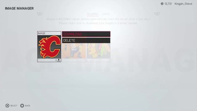WWE 2K19 | How to Import Face & Custom Logos! SUPER EASY смотреть онлайн