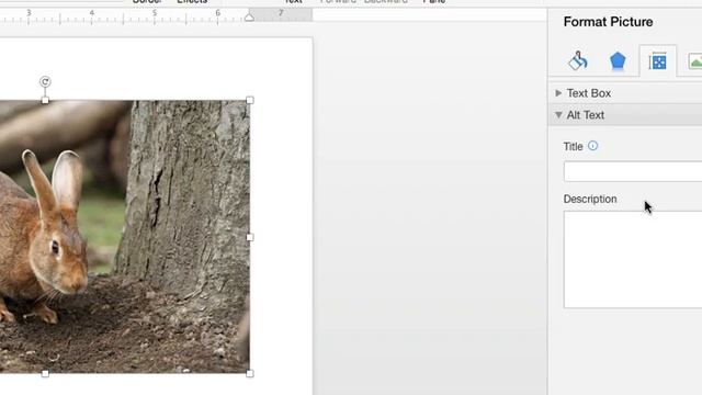 Adding alt text to an image in Word for Mac смотреть онлайн