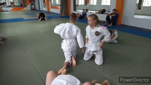 Джиу джитсу