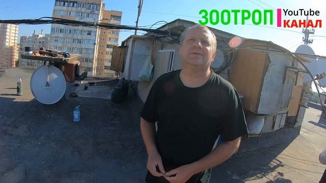 Содержание голубей на крыше. Интересная голубятня. Одесса рулит. смотреть онлайн