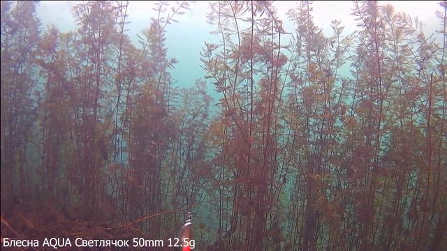 Блесна зимняя AQUA Светлячок - игра блесны, подводная сьемка смотреть онлайн