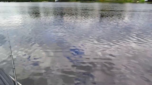 ДОЛГОЖДАННАЯ РЫБАЛКА НА ПОПЛАВОК,ЛОВЛЯ ЧЕБАКА НА ХЛЕБ С ЛОДКИ!05.09.23г. смотреть онлайн