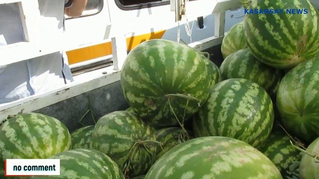 Kosonsoyda juma bozori narx-navolari / HD смотреть онлайн