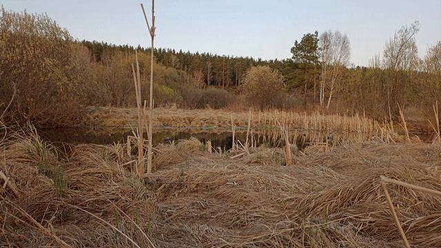 Закрытие весенней охоты на селезня в НСО 2022 . Один ночной трофей смотреть онлайн