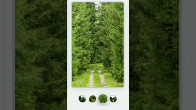dynamite #dynamite #ios #angular #flutter #subscribe смотреть онлайн
